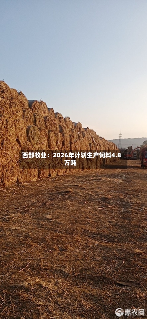 西部牧业:2026年计划生产饲料4.8万吨-第2张图片
