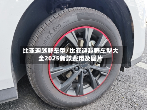 比亚迪越野车型/比亚迪越野车型大全2025新款费用及图片-第2张图片
