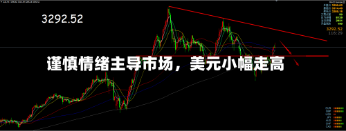 谨慎情绪主导市场,美元小幅走高