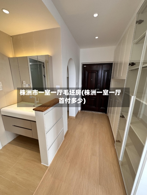 株洲市一室一厅毛坯房(株洲一室一厅首付多少)