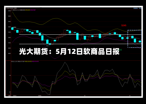 光大期货:5月12日软商品日报