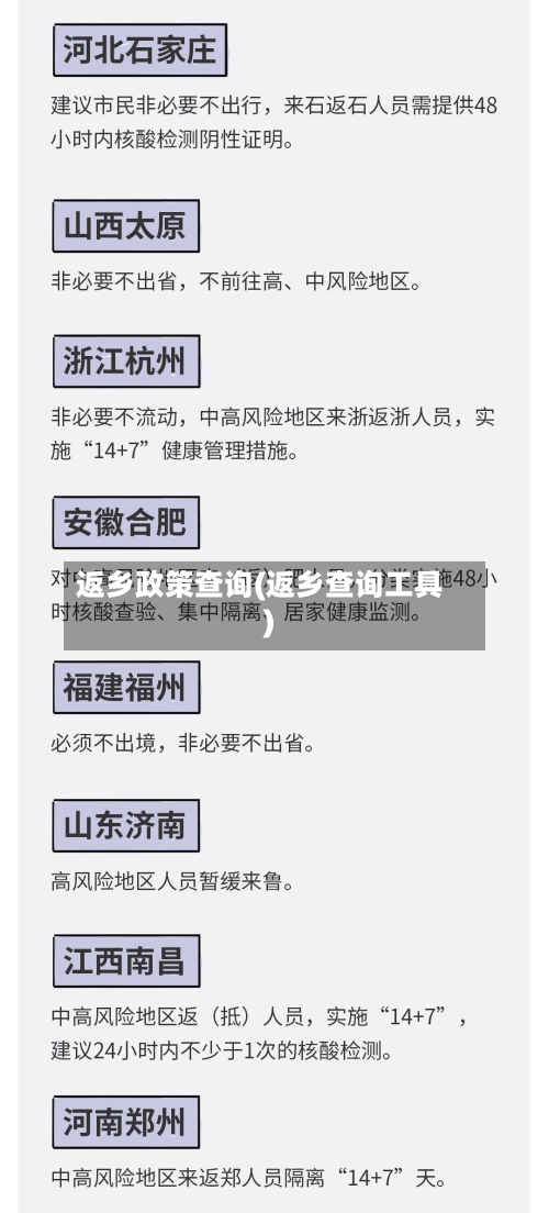 返乡政策查询(返乡查询工具)