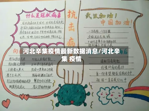 河北辛集疫情最新数据消息/河北辛集 疫情-第3张图片
