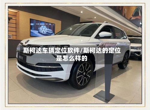 斯柯达车辆定位软件/斯柯达的定位是怎么样的