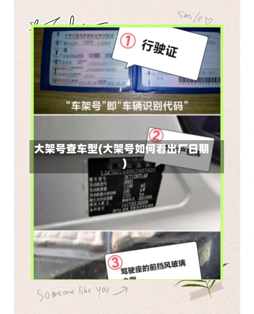 大架号查车型(大架号如何看出厂日期)