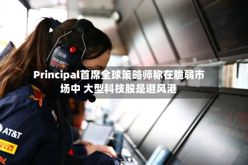 Principal首席全球策略师称在脆弱市场中 大型科技股是避风港-第2张图片