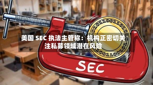 美国 SEC 执法主管称：机构正密切关注私募领域潜在风险-第2张图片