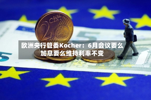 欧洲央行管委Kocher：6月会议要么加息要么维持利率不变-第3张图片