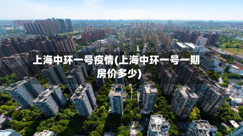 上海中环一号疫情(上海中环一号一期房价多少)-第2张图片