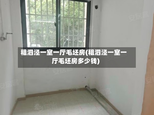 租泗泾一室一厅毛坯房(租泗泾一室一厅毛坯房多少钱)-第3张图片