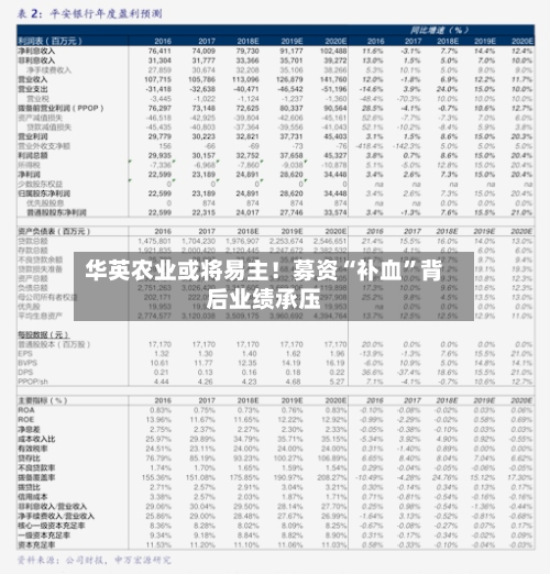 华英农业或将易主！募资“补血”背后业绩承压-第2张图片