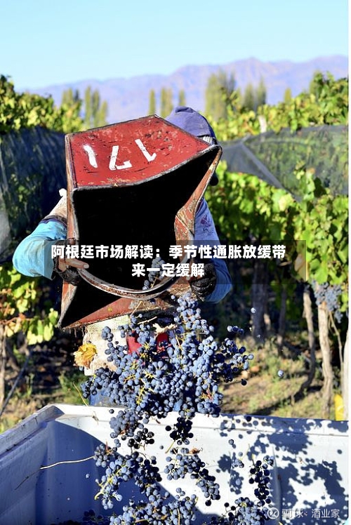 阿根廷市场解读：季节性通胀放缓带来一定缓解