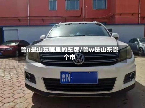鲁n是山东哪里的车牌/鲁w是山东哪个市-第2张图片