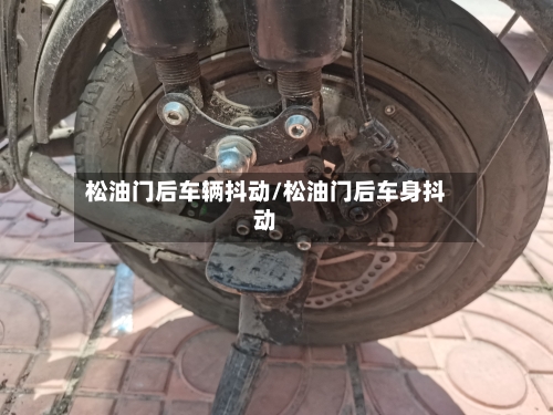 松油门后车辆抖动/松油门后车身抖动-第2张图片