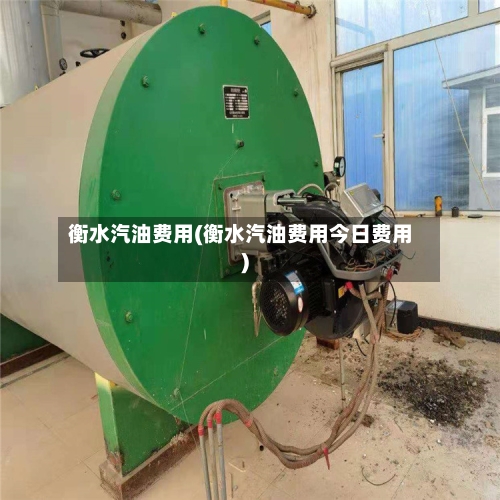 衡水汽油费用(衡水汽油费用今日费用)-第3张图片