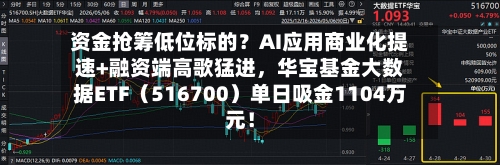 资金抢筹低位标的？AI应用商业化提速+融资端高歌猛进，华宝基金大数据ETF（516700）单日吸金1104万元！-第2张图片