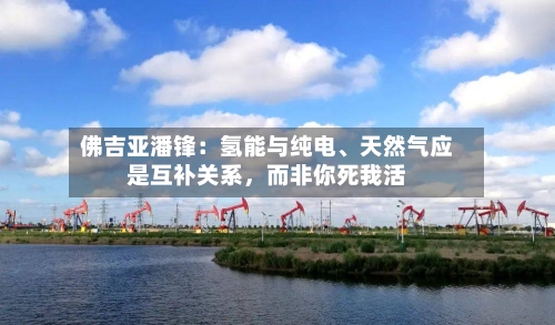 佛吉亚潘锋：氢能与纯电、天然气应是互补关系，而非你死我活-第2张图片