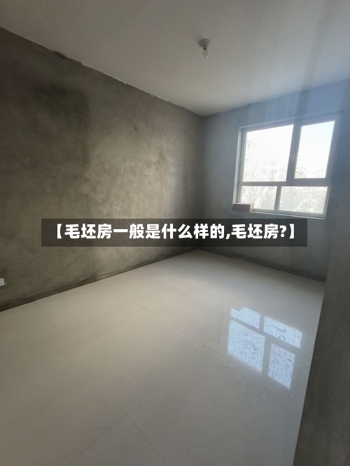 【毛坯房一般是什么样的,毛坯房?】-第2张图片