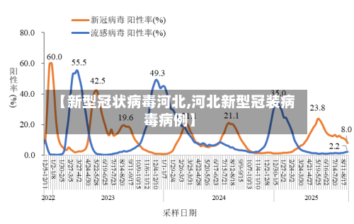 【新型冠状病毒河北,河北新型冠装病毒病例】