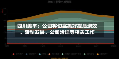 四川美丰：公司将切实抓好提质增效、转型发展、公司治理等相关工作-第2张图片