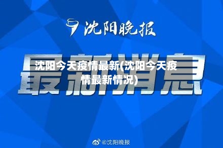 沈阳今天疫情最新(沈阳今天疫情最新情况)-第2张图片