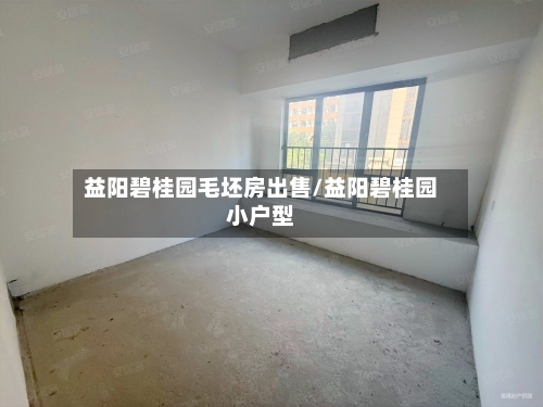 益阳碧桂园毛坯房出售/益阳碧桂园小户型