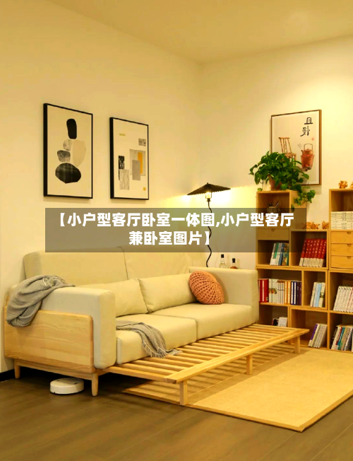 【小户型客厅卧室一体图,小户型客厅兼卧室图片】