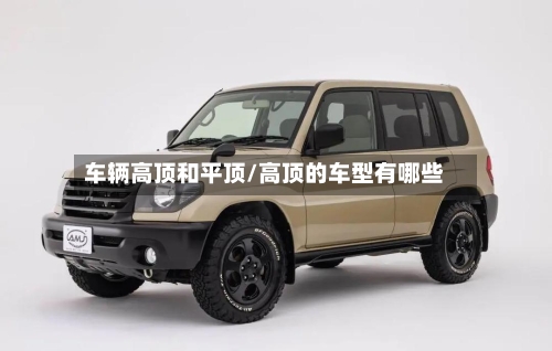 车辆高顶和平顶/高顶的车型有哪些-第3张图片