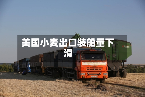 美国小麦出口装船量下滑-第2张图片