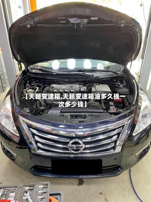 【天籁变速箱,天籁变速箱油多久换一次多少钱】