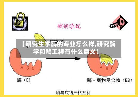 【研究生学酶的专业怎么样,研究酶学和酶工程有什么意义】-第3张图片