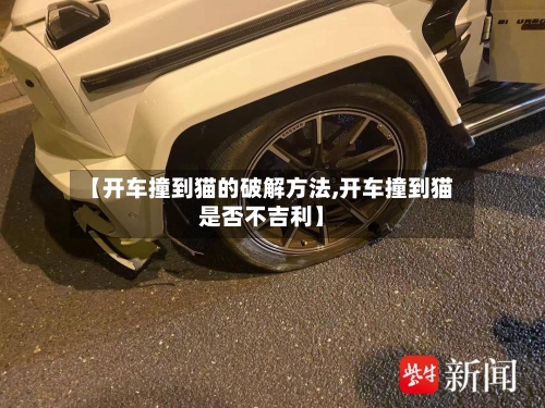 【开车撞到猫的破解方法,开车撞到猫是否不吉利】-第3张图片