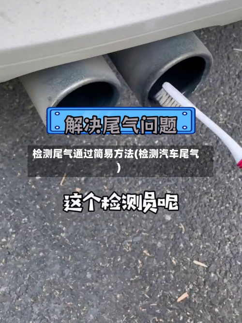 检测尾气通过简易方法(检测汽车尾气)