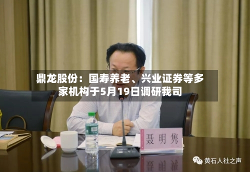 鼎龙股份：国寿养老、兴业证券等多家机构于5月19日调研我司-第2张图片