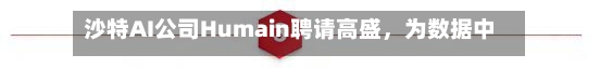 沙特AI公司Humain聘请高盛，为数据中心建设筹措超53亿美元融资