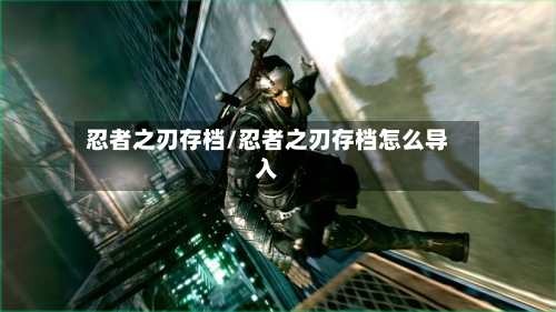 忍者之刃存档/忍者之刃存档怎么导入