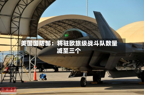 美国国防部:将驻欧旅级战斗队数量减至三个