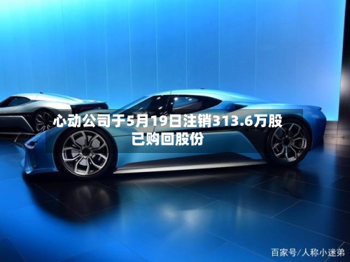 心动公司于5月19日注销313.6万股已购回股份-第2张图片