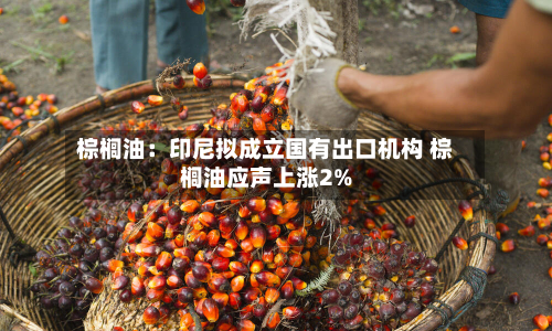 棕榈油:印尼拟成立国有出口机构 棕榈油应声上涨2%-第3张图片