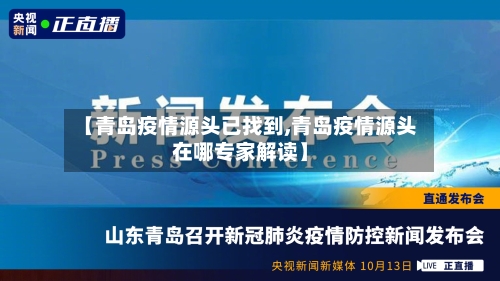【青岛疫情源头已找到,青岛疫情源头在哪专家解读】-第2张图片