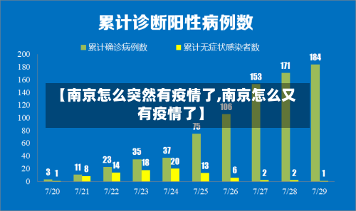 【南京怎么突然有疫情了,南京怎么又有疫情了】-第3张图片