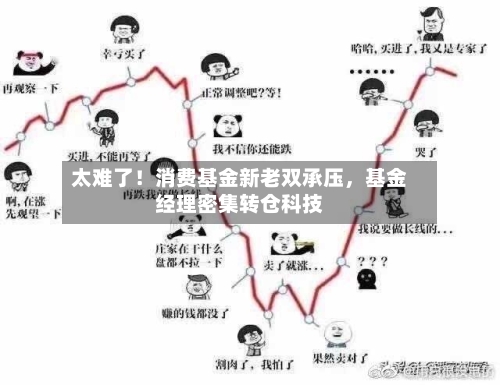 太难了！消费基金新老双承压，基金经理密集转仓科技