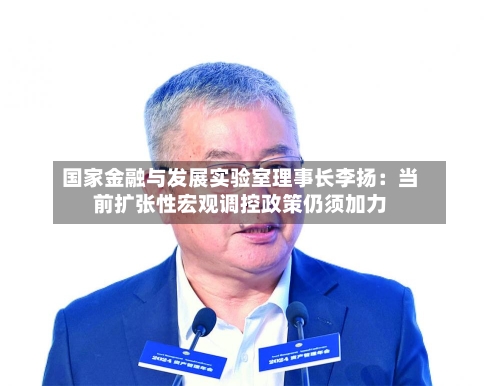 国家金融与发展实验室理事长李扬:当前扩张性宏观调控政策仍须加力-第3张图片