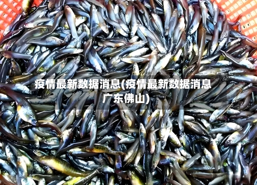 疫情最新数据消息(疫情最新数据消息广东佛山)