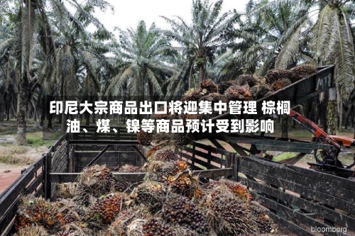 印尼大宗商品出口将迎集中管理 棕榈油、煤、镍等商品预计受到影响