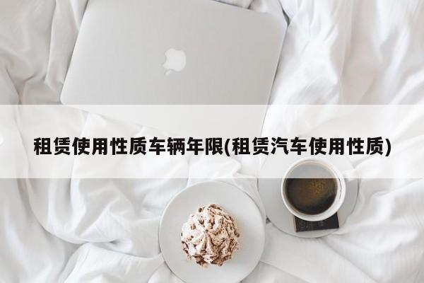 租赁使用性质车辆年限(租赁汽车使用性质)