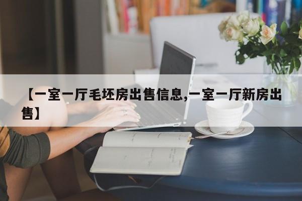 【一室一厅毛坯房出售信息,一室一厅新房出售】