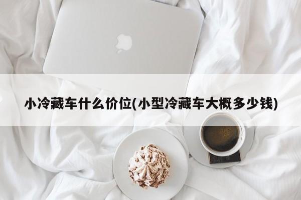 小冷藏车什么价位(小型冷藏车大概多少钱)