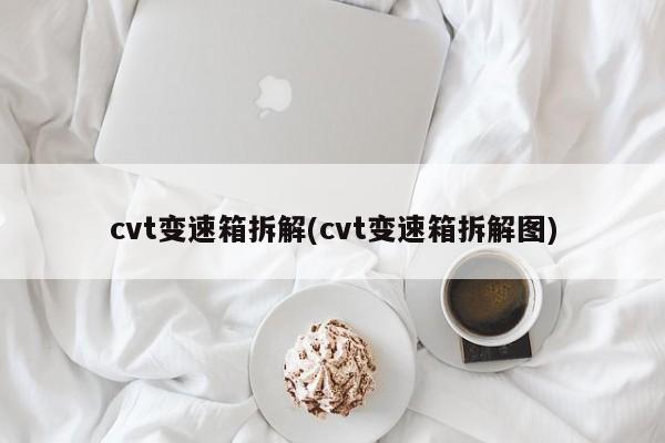 cvt变速箱拆解(cvt变速箱拆解图)