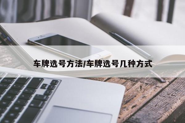 车牌选号方法/车牌选号几种方式